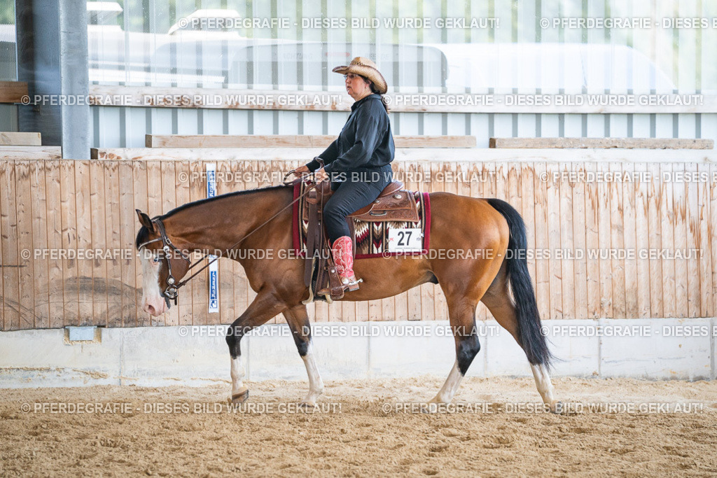 DSC03527 | Pferdegrafie