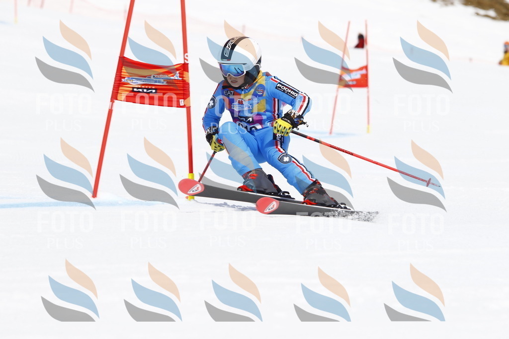 _U3G5655 | holidayphoto