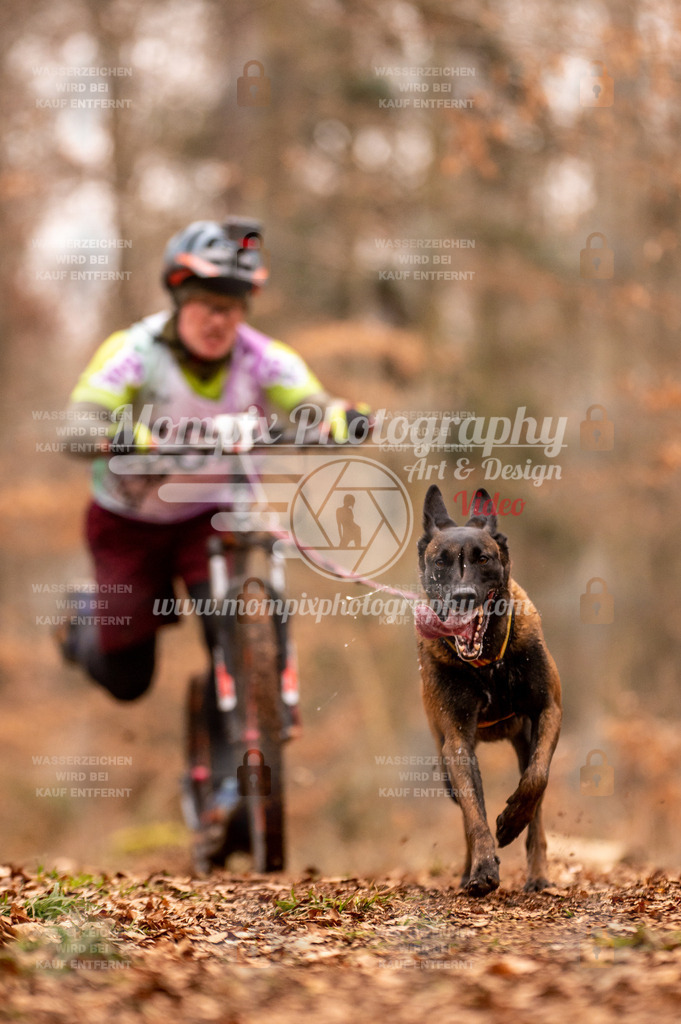 AKM_ST_2023_SAM_Scooter-69 | PayLife