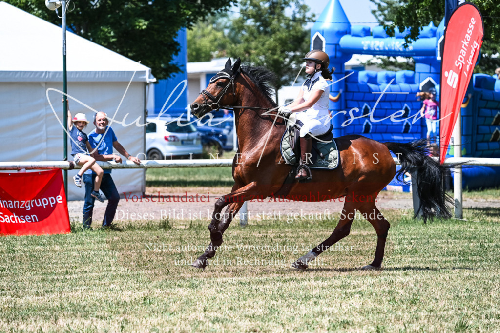 DSC_0401 | Pferde- und Turnierfotografie in Westsachsen. Pferdeportraits, Auftragszeichnungen und intuitive Kunst.