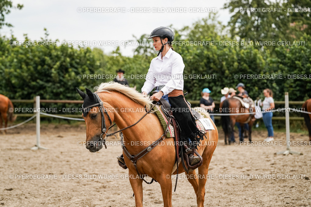 DSC00206 | Pferdegrafie