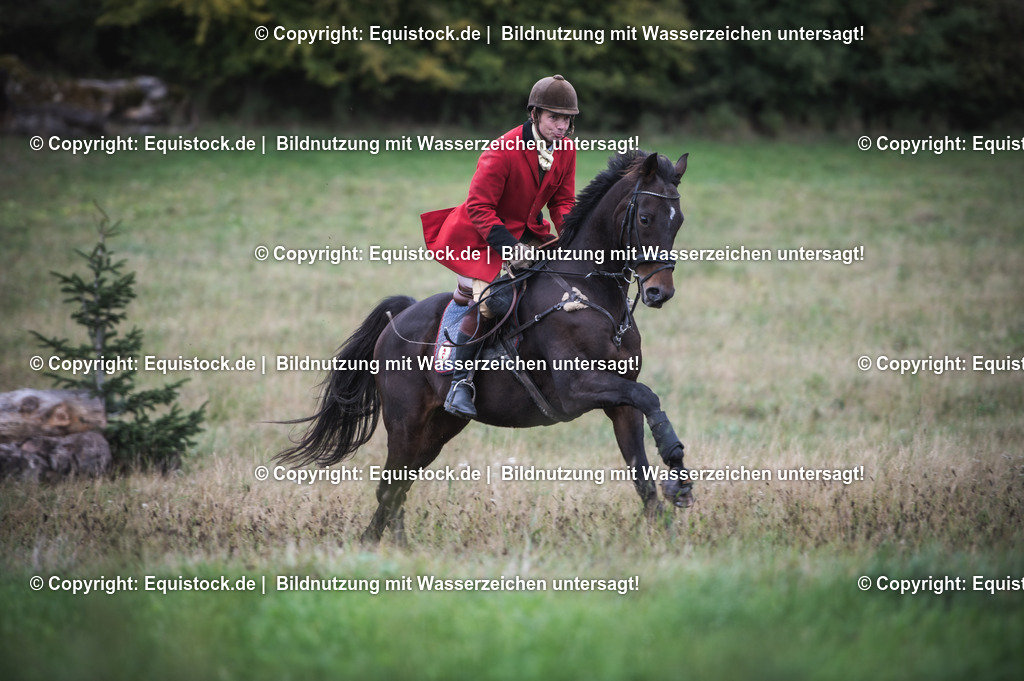 20241013_Jagd-Marbach_0288 | Foto: Thomas Hartig