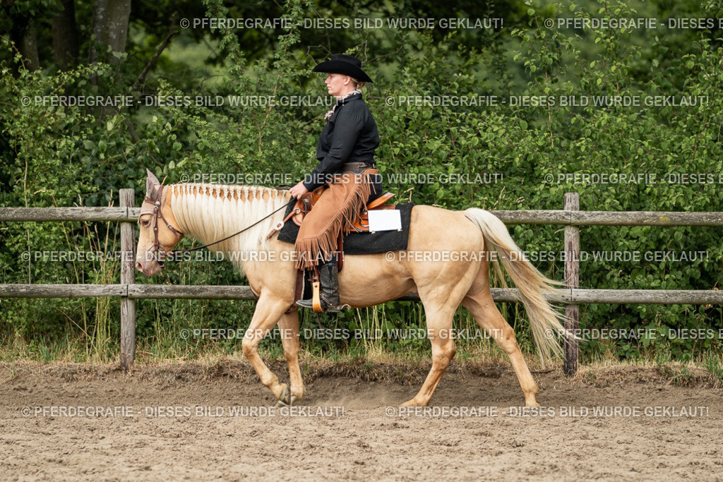 DSC03089 | Pferdegrafie