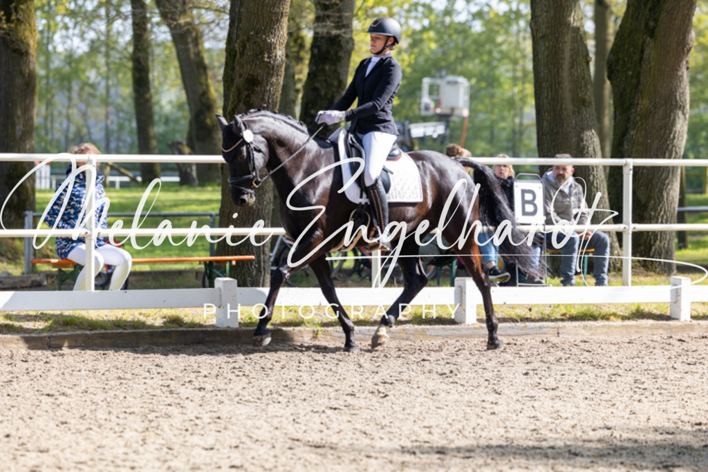 7I8A1411 | melanie-engelhardt-photography - Realisiert mit Pictrs.com