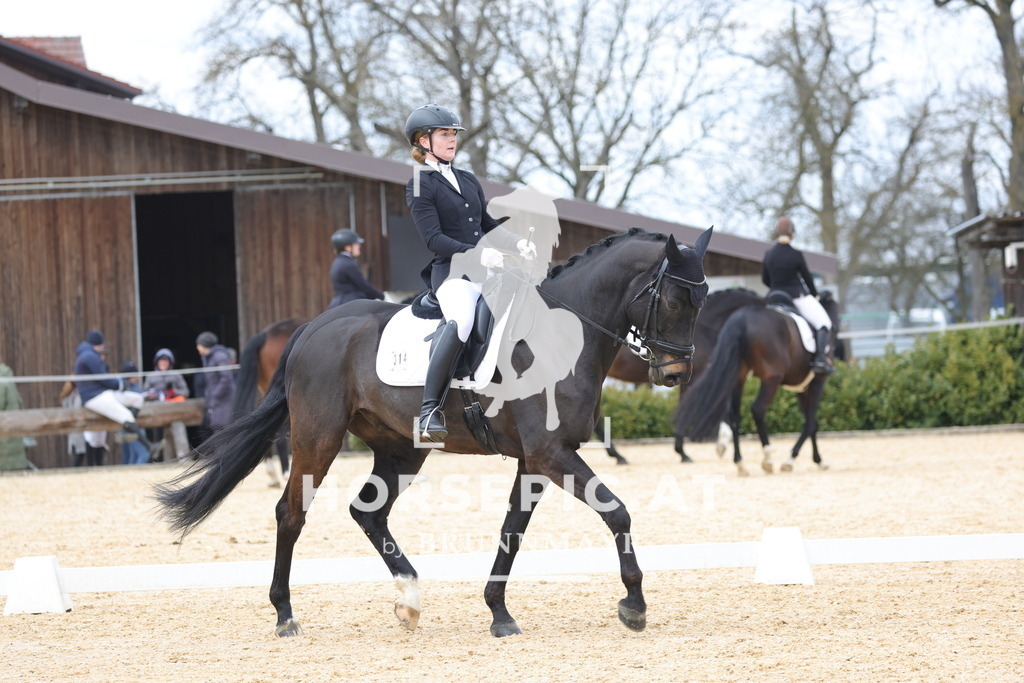 0P6A7078 | Willkommen bei Brunnmayr - Design & Fotografie – Ihrem Spezialisten für Reitturniere und Pferdeveranstaltungen in Oberösterreich, Salzburg und Bayern! Seit über 17 Jahren sind wir leidenschaftlich dabei.