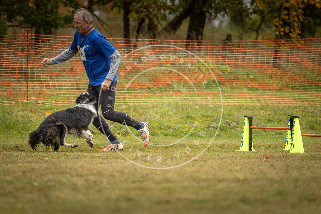 Pfotenfotografie_DV3A2643 | Hundefotografie, Tierfotograf, Pfotenfotografie, Fotoshooting Hund, Hunde Portrait, Hundesport, Hundeportraits, Heideshooting, Hunde, Sportfotograf, Hundefotograf, Turnierhundsport, THS,  - Realisiert mit Pictrs.com