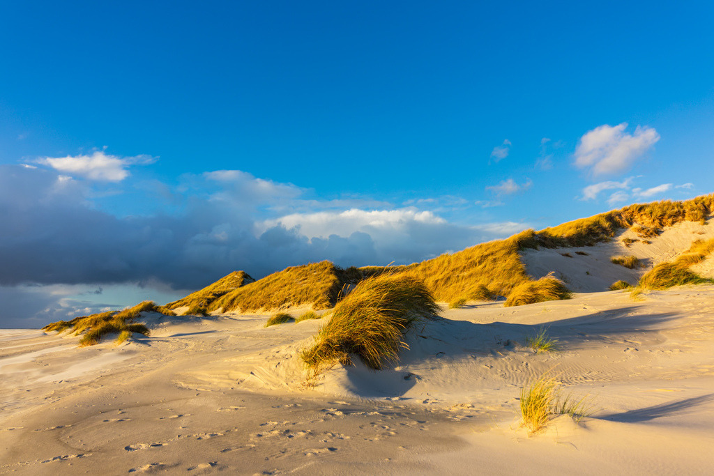 Landschaft mit Dünen auf der Nordseeinsel Amrum | Landschaft mit Dünen auf der Nordseeinsel Amrum.