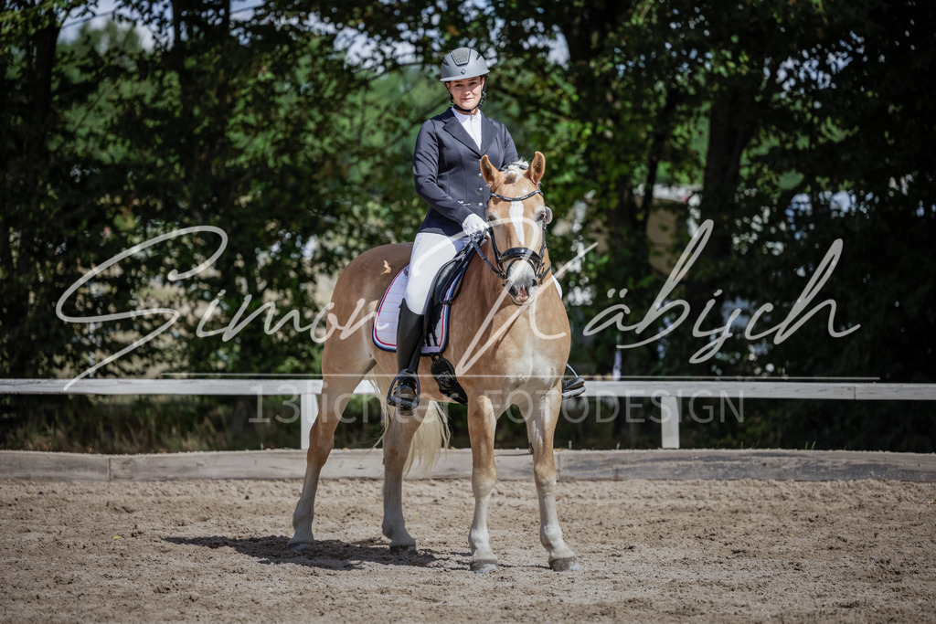 20250906-_3LI5711 | Tierfotografie Pferde, Hunde, Katzen, Haustiere.
Turnierfotografie Reitturniere, Reiten, Springreiten, Dressur in Hanau, dem Main-Kinzig-Kreis und dem Rhein-Main- Gebiet um Frankfurt