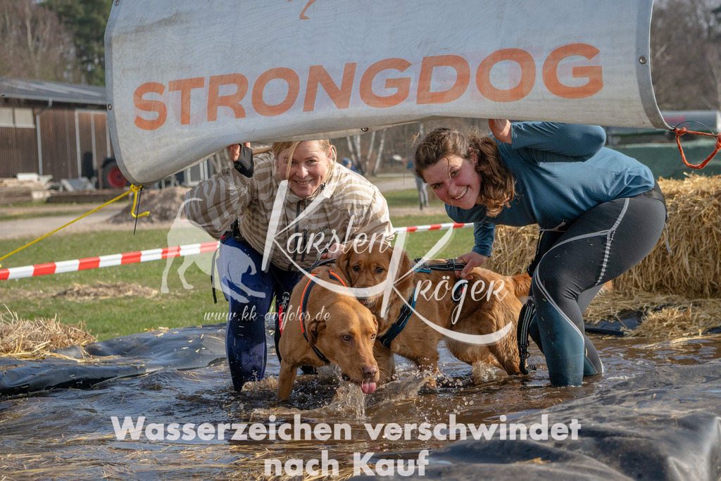 _ZZ91504 | kk-dogfotos