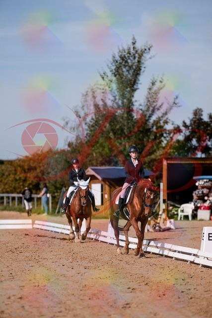 2026_10_03_Siefer-Hof_114350_Z81_85590701 | Professionelle Reitsport-, Turnier- und Eventfotografie von Robert Broda. Galerien mit ausgewählten und bearbeiteten Bildern direkt online ansehen und bestellen.