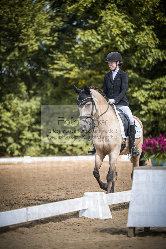 DOS_0721 | Entdecke hochwertige Reitturnierfotos von Foto Oger. Professionell, emotional und authentisch – jetzt Lieblingsmomente im Shop bestellen.Deutschlandweite Turnierfotografie. - Realisiert mit Pictrs.com