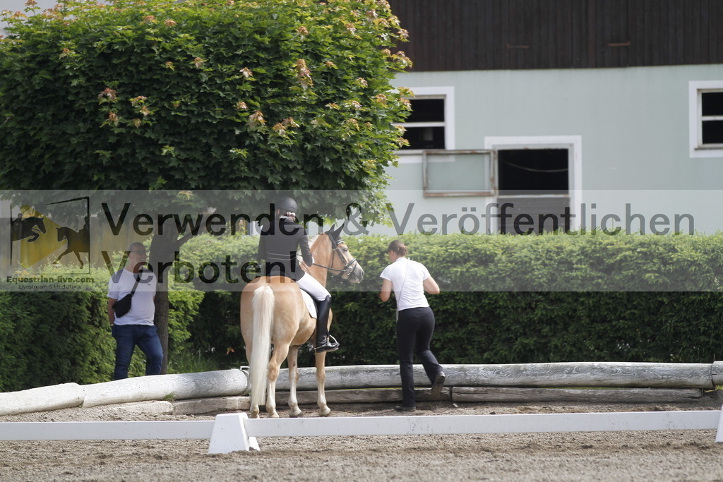 _MG_9715 | equestrian-live-com