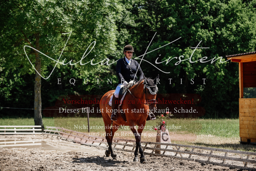 DSC_1997 | Pferde- und Turnierfotografie in Westsachsen. Pferdeportraits, Auftragszeichnungen und intuitive Kunst.