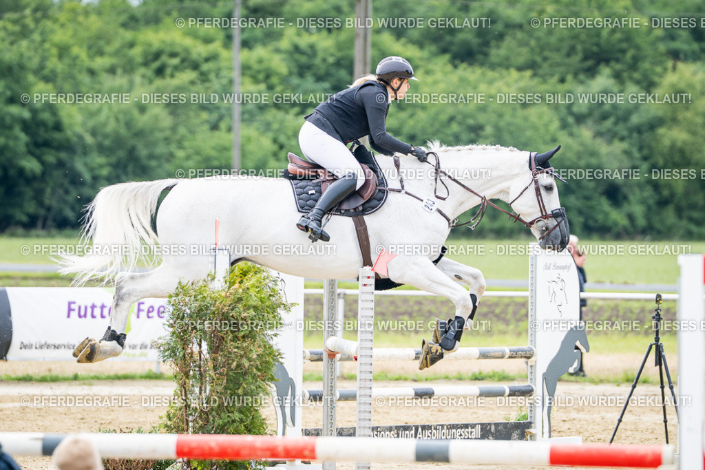 DSC05010 | Pferdegrafie