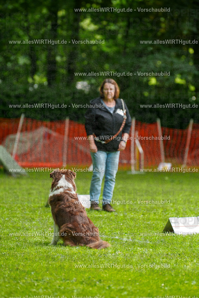 @allesWIRTHgut_Tierfotografie - www.allesWIRTHgut.de - 7R502601 | Professionelle Tierfotografie in Mönchengladbach von Daniel Wirth (allesWIRTHgut). Liebevolle & natürliche Bilder von Hunden & Katzen für unvergessliche Erinnerungen.