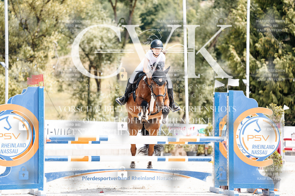 CK907951 | Turnierfotografie Pferdefotografie Trier Rheinland-Pfalz Pferdesport Reitsport Tierfotografie Sportfotografie Pferdevideo Pferdevideografie Equestrianvideography equestrianphotography  - Realisiert mit Pictrs.com
