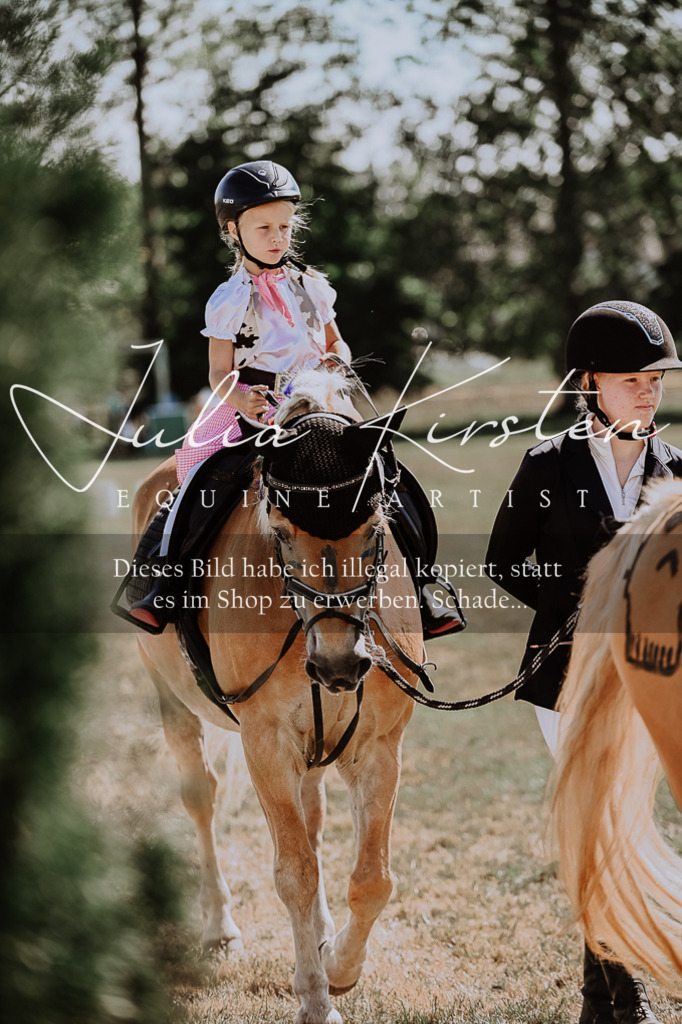 DSC_8990 | Pferde- und Turnierfotografie in Westsachsen. Pferdeportraits, Auftragszeichnungen und intuitive Kunst.