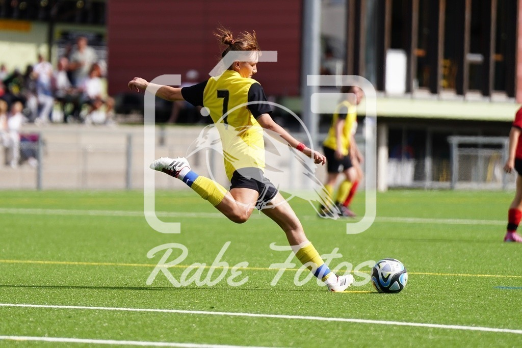 SON08416 | rabefotos