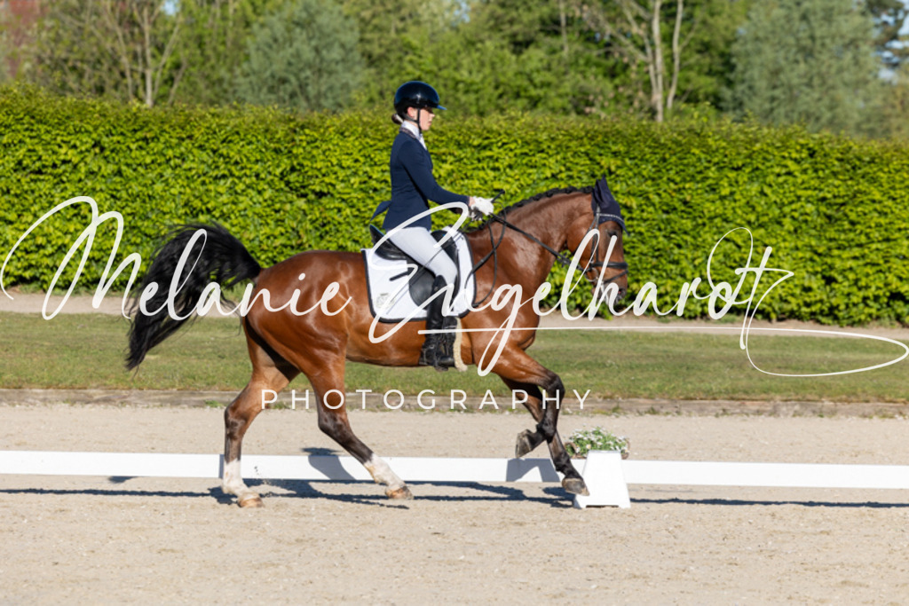 7I8A8204 | melanie-engelhardt-photography - Realisiert mit Pictrs.com