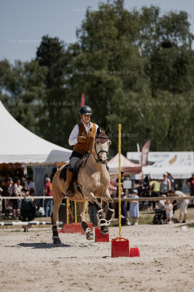 WE_SP_Stoib_334_PI2025_1805 | Pferd International München 2025