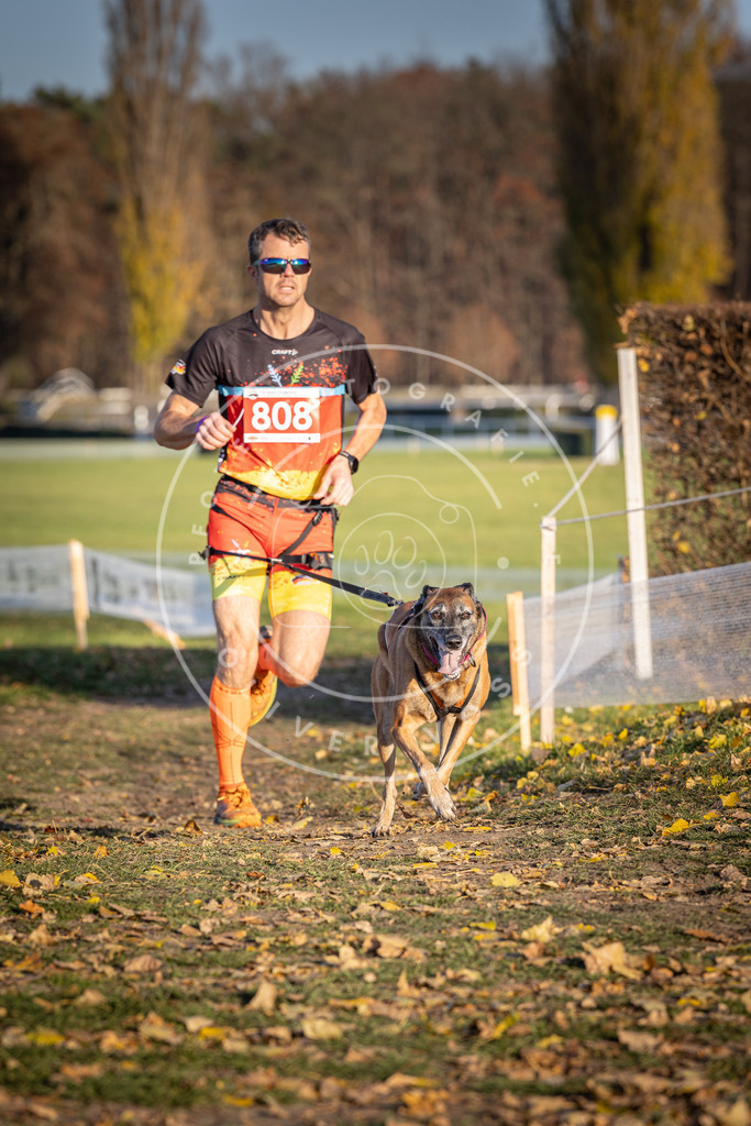 CaniXpix_DV3A2999 | Hundefotografie, Tierfotograf, Pfotenfotografie, Fotoshooting Hund, Hunde Portrait, Hundesport, Hundeportraits, Heideshooting, Hunde, Sportfotograf, Hundefotograf, Turnierhundsport, THS,  - Realisiert mit Pictrs.com