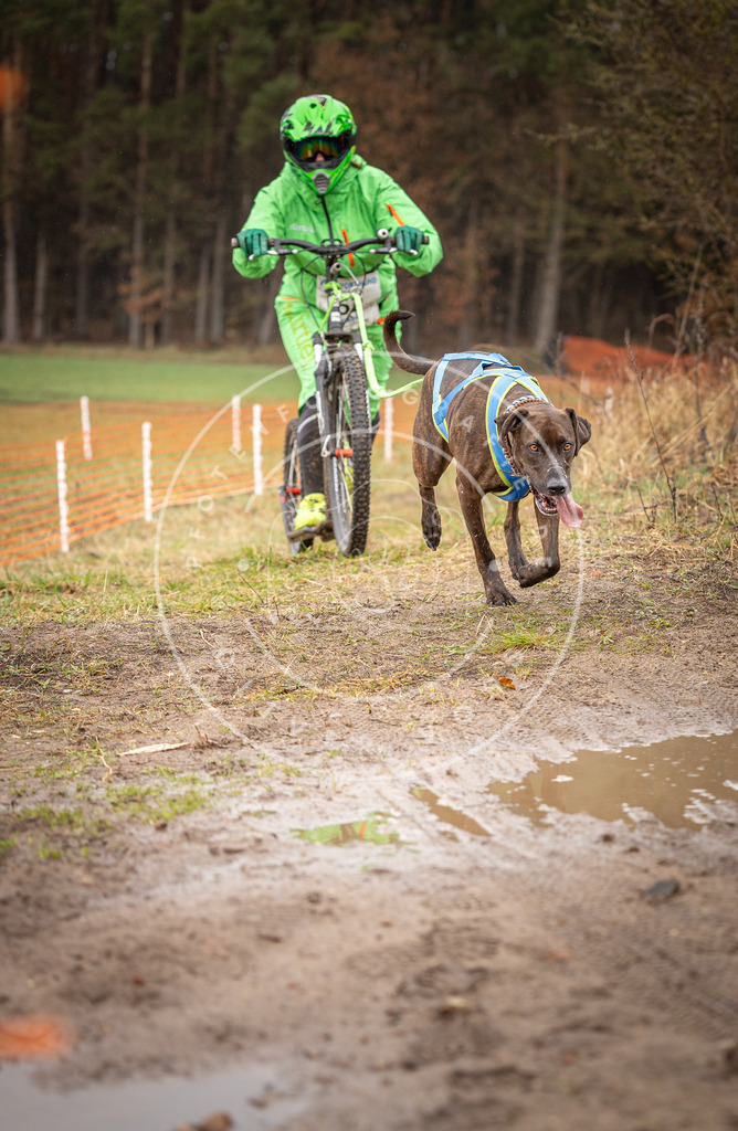 DV3A9532 | Hundefotografie, Tierfotograf, Pfotenfotografie, Fotoshooting Hund, Hunde Portrait, Hundesport, Hundeportraits, Heideshooting, Hunde, Sportfotograf, Hundefotograf, Turnierhundsport, THS,  - Realisiert mit Pictrs.com
