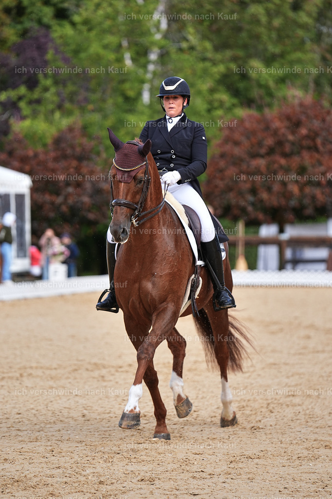 10-230-ST.GEORG SPECIAL -Marixx-3342 | working equitationturnier fotograf videograf stoibphotography marixx film working equitation deutschland reitsport turnierfotografie eventfotografie equestrian events