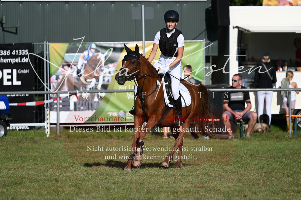 DSC_4814 | Pferde- und Turnierfotografie in Westsachsen. Pferdeportraits, Auftragszeichnungen und intuitive Kunst.