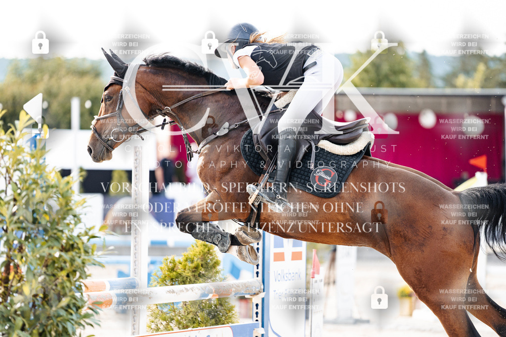 CK906992 | Turnierfotografie Pferdefotografie Trier Rheinland-Pfalz Pferdesport Reitsport Tierfotografie Sportfotografie Pferdevideo Pferdevideografie Equestrianvideography equestrianphotography  - Realisiert mit Pictrs.com