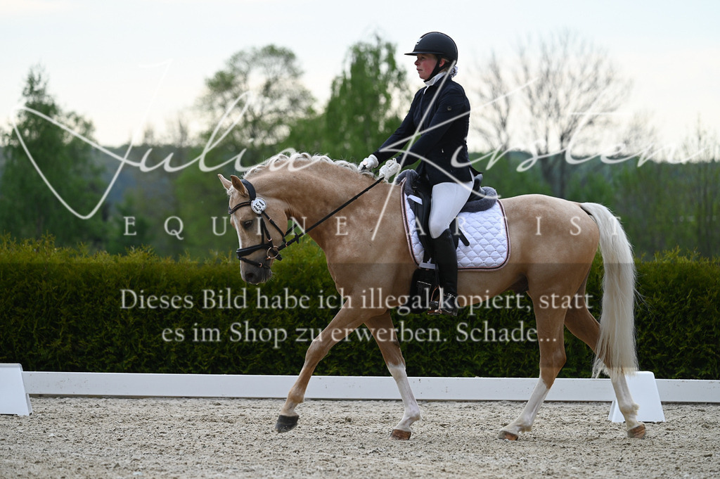 20230512_JK-Röhrsdorf-02-105 | Pferde- und Turnierfotografie in Westsachsen. Pferdeportraits, Auftragszeichnungen und intuitive Kunst.
