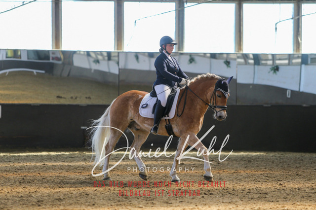 IMG_2961 | Turniersportfotografie; Pferdefotografie; Dressurfotografie