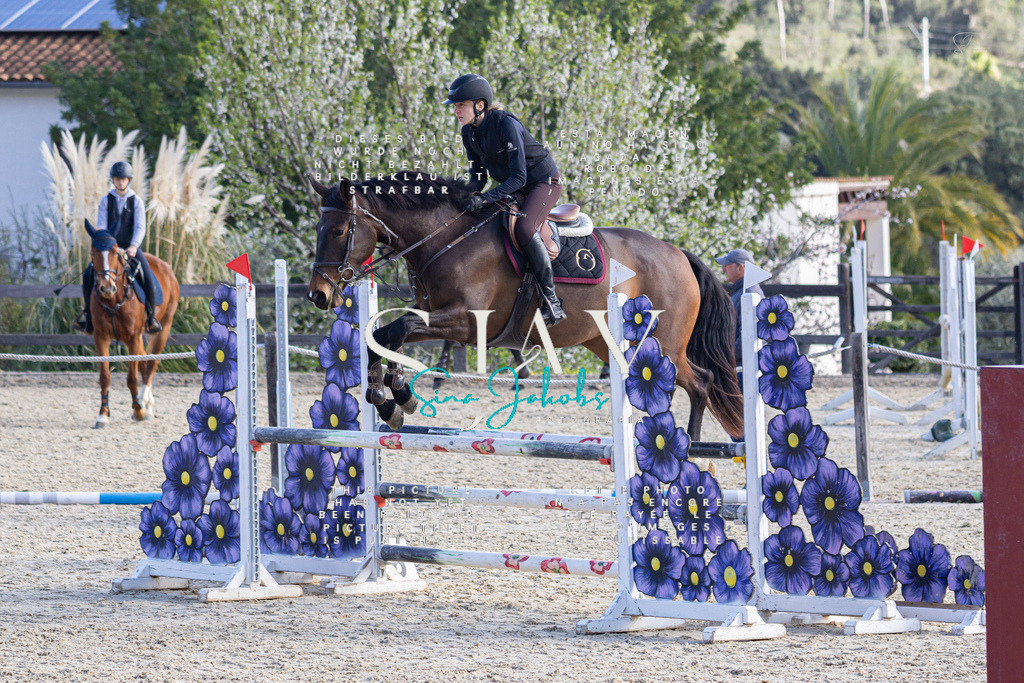 IMG_5402 | s-jay-photography - Realisiert mit Pictrs.com