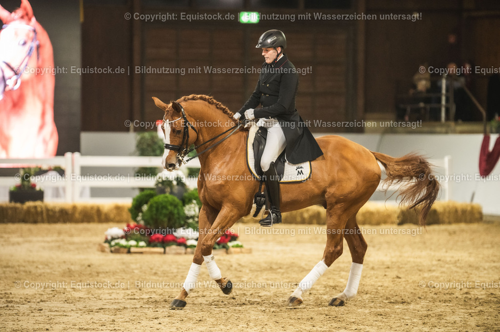 20240302_Hengstvorstellung_Marbach_TOMsPiC_0899 | equistock