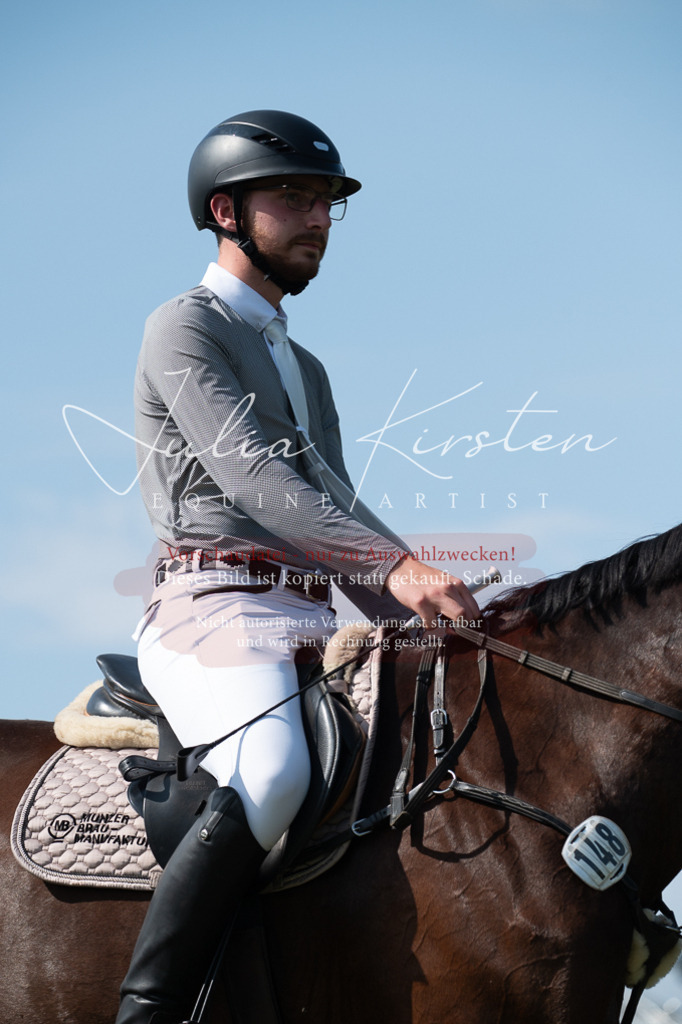 DSC_0923 | Pferde- und Turnierfotografie in Westsachsen. Pferdeportraits, Auftragszeichnungen und intuitive Kunst.