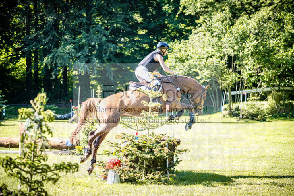 2026-05 - Melle Oldendorf-3-0061 | Entdecke hochwertige Reitturnierfotos von Foto Oger. Professionell, emotional und authentisch – jetzt Lieblingsmomente im Shop bestellen.Deutschlandweite Turnierfotografie. - Realisiert mit Pictrs.com
