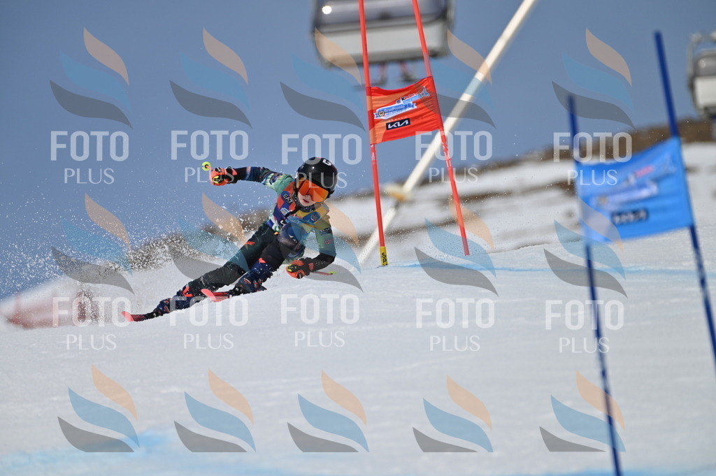 BGV_7203 | holidayphoto