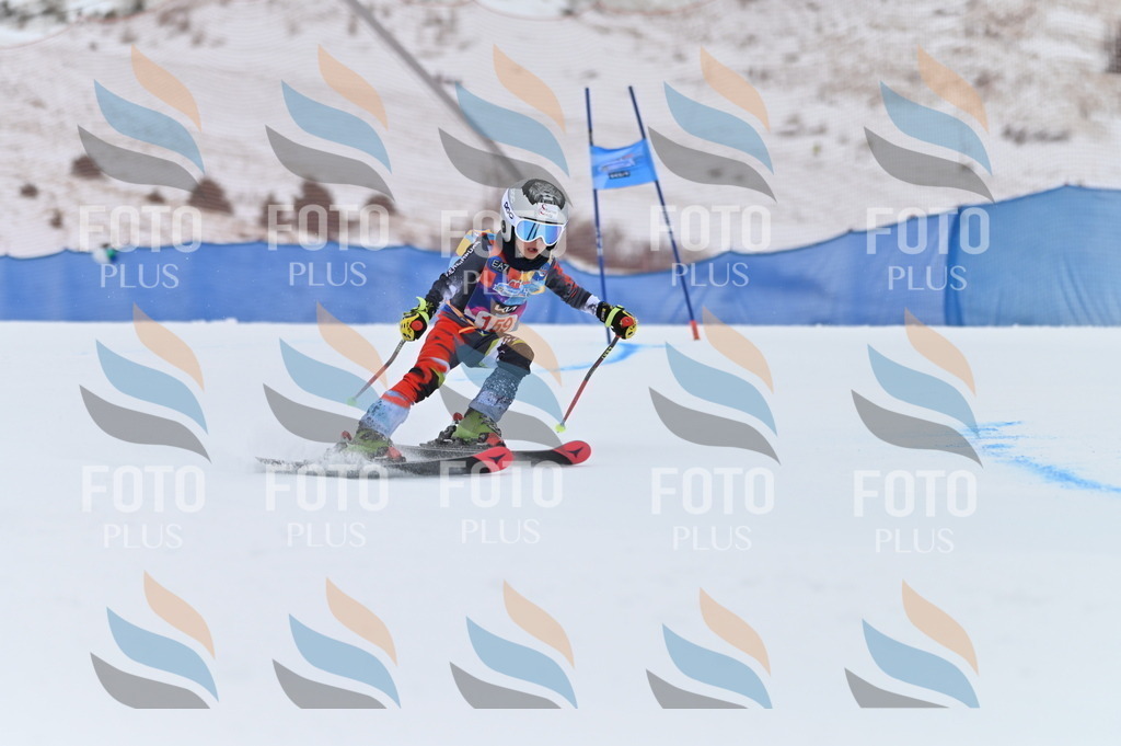 BGV_0113 | holidayphoto