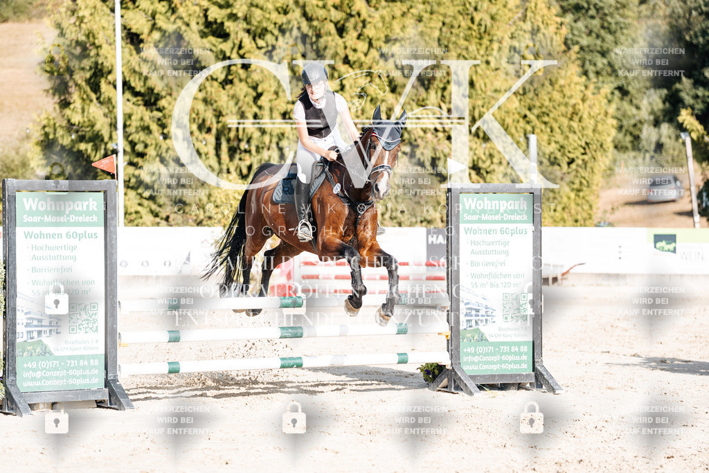 CK909525 | Turnierfotografie Pferdefotografie Trier Rheinland-Pfalz Pferdesport Reitsport Tierfotografie Sportfotografie Pferdevideo Pferdevideografie Equestrianvideography equestrianphotography  - Realisiert mit Pictrs.com