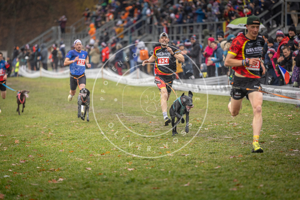 CaniXpix_DV3A9660 | Hundefotografie, Tierfotograf, Pfotenfotografie, Fotoshooting Hund, Hunde Portrait, Hundesport, Hundeportraits, Heideshooting, Hunde, Sportfotograf, Hundefotograf, Turnierhundsport, THS,  - Realisiert mit Pictrs.com