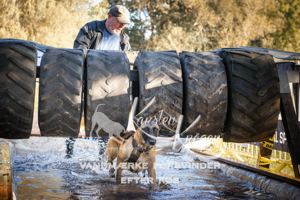0921_ZZ90641 | kk-dogfotos