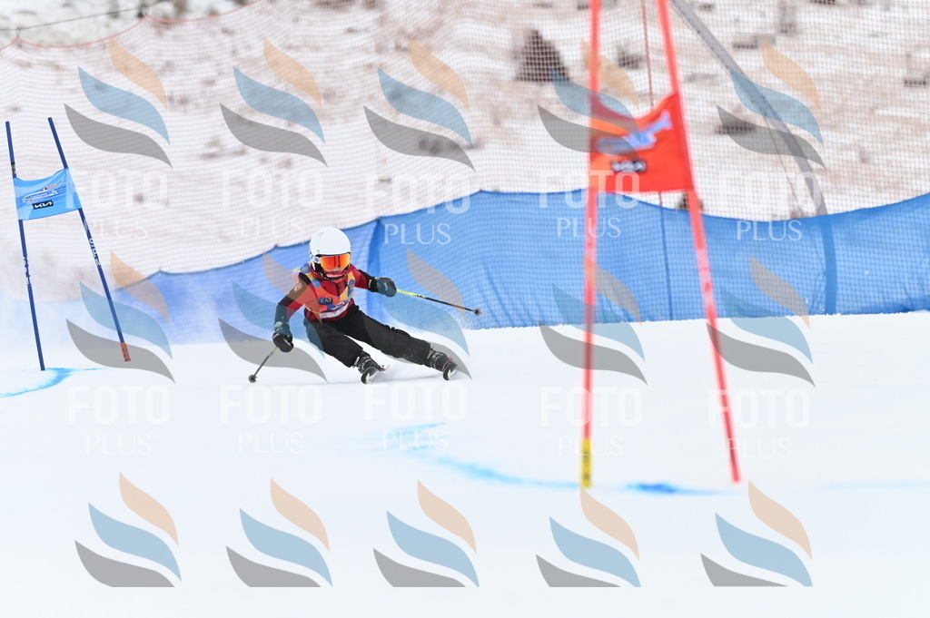 BGV_0024 | holidayphoto