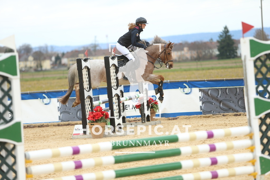 DL2Q1893 | Willkommen bei Brunnmayr - Design & Fotografie – Ihrem Spezialisten für Reitturniere und Pferdeveranstaltungen in Oberösterreich, Salzburg und Bayern! Seit über 17 Jahren sind wir leidenschaftlich dabei.