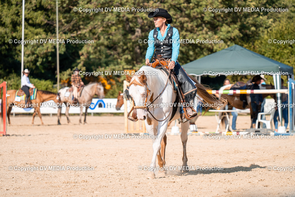 ZH100816 | dv-media-shop - Realisiert mit Pictrs.com