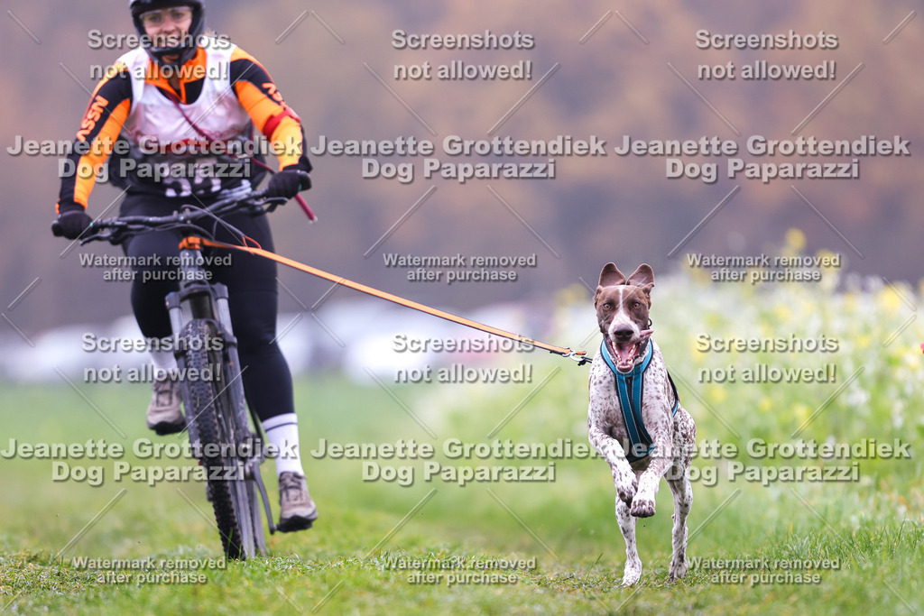 Dog Paparazzi - Visbeck 25 -153 | Dog Paparazzi Jeanette Grottendiek Fotografie & Videografie - Realisiert mit Pictrs.com