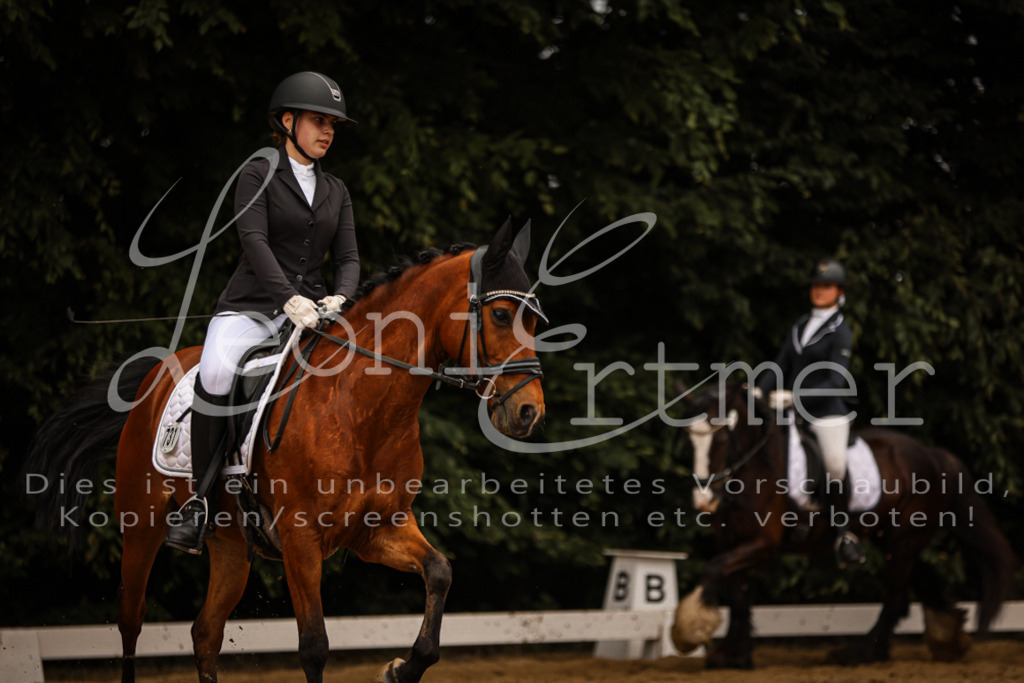 DoDrE00330 | Leoni Ertmer Photography - Realisiert mit Pictrs.com