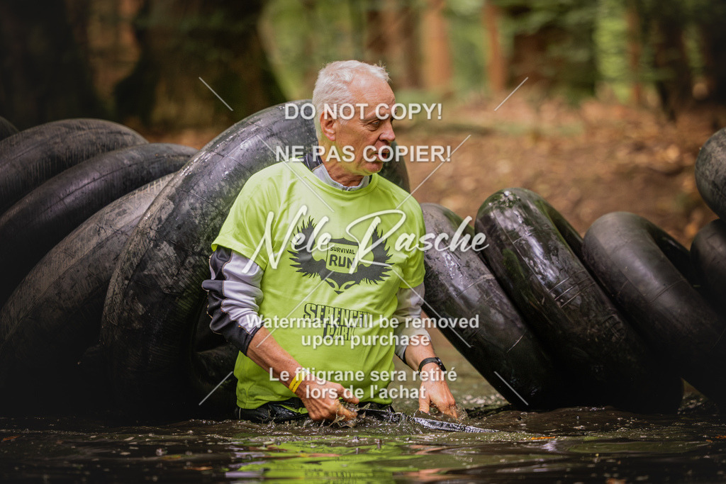 nelerasche_SaWingst0845-1000_167 | nelerasche
