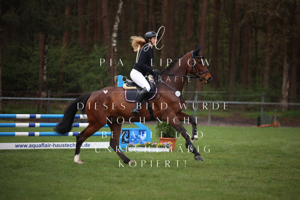 IMGT2346 | pl-fotografie