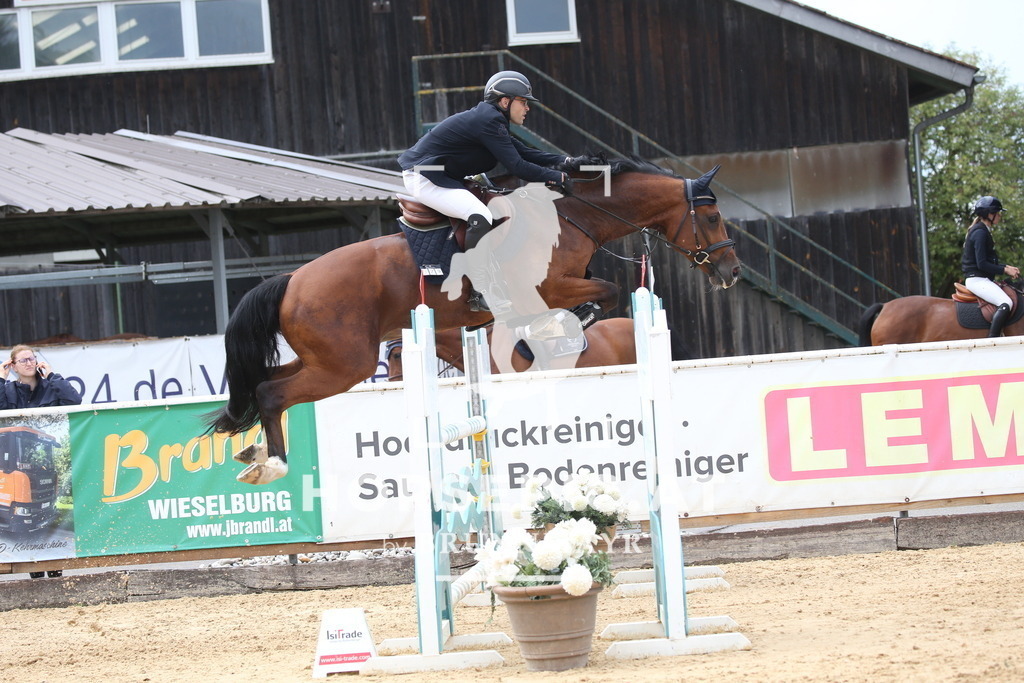 DL2Q2678 | Willkommen bei Brunnmayr - Design & Fotografie – Ihrem Spezialisten für Reitturniere und Pferdeveranstaltungen in Oberösterreich, Salzburg und Bayern! Seit über 17 Jahren sind wir leidenschaftlich dabei.