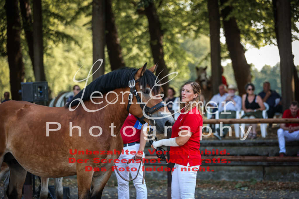 Fr4K00039 | Leoni Ertmer Photography - Realisiert mit Pictrs.com
