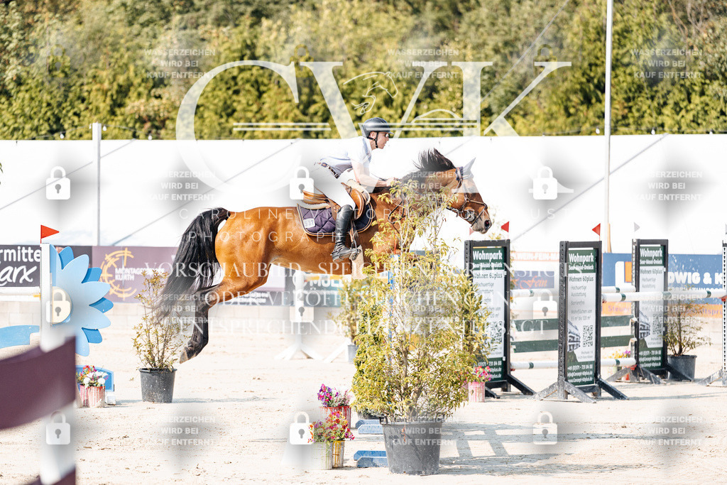 CK902004 | Turnierfotografie Pferdefotografie Trier Rheinland-Pfalz Pferdesport Reitsport Tierfotografie Sportfotografie Pferdevideo Pferdevideografie Equestrianvideography equestrianphotography  - Realisiert mit Pictrs.com